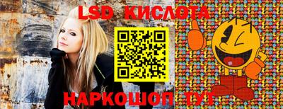 PSILOCYBIN Жуковский