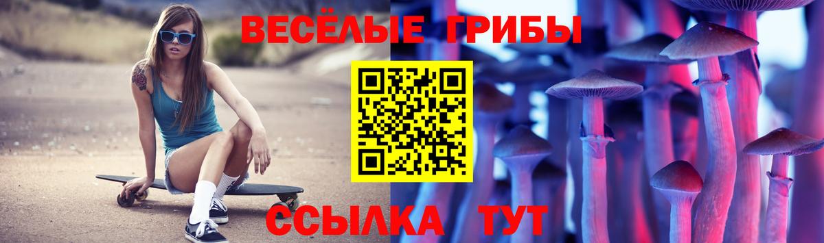 Галлюциногенные грибы ЛСД Истра